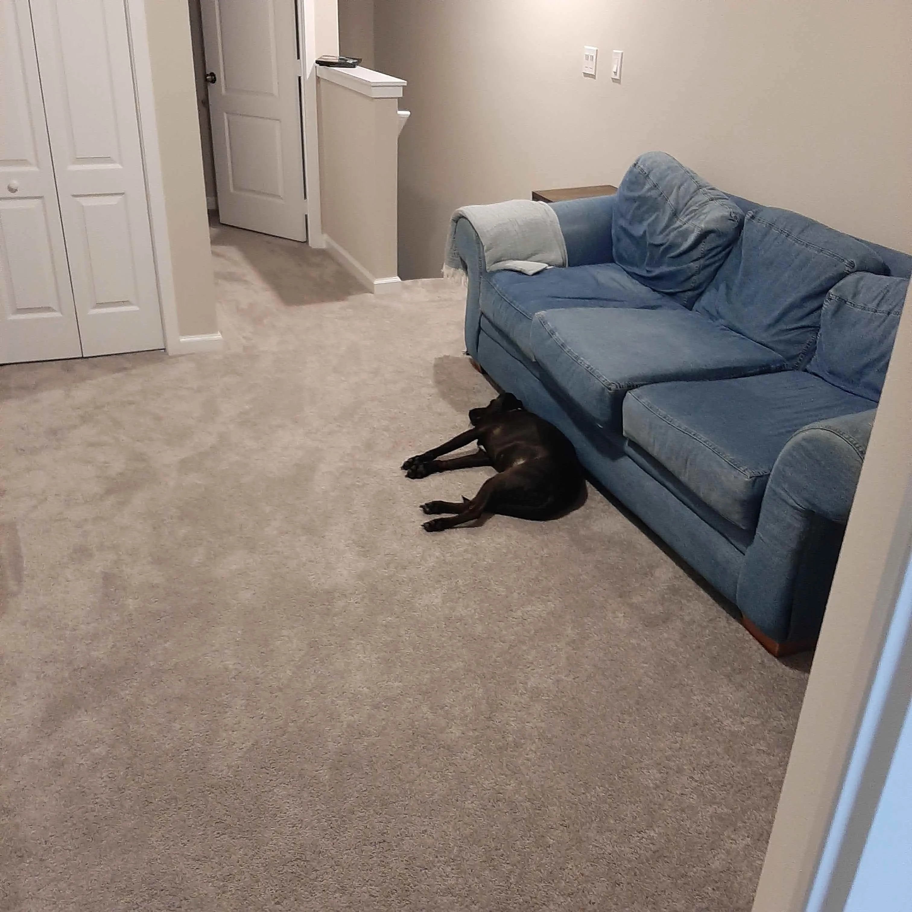 Jenny laying in front of couch